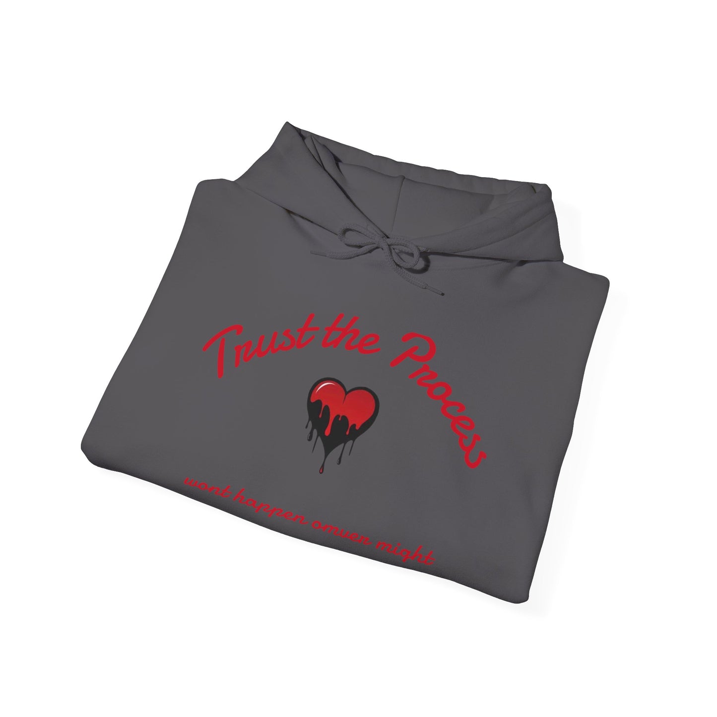 Trust the Process Hooded Sweatshirt, Motivational Hoodie, Unisex Sweatshirt, Casual Wear, Gifts for Him/Her, Inspirational Apparel