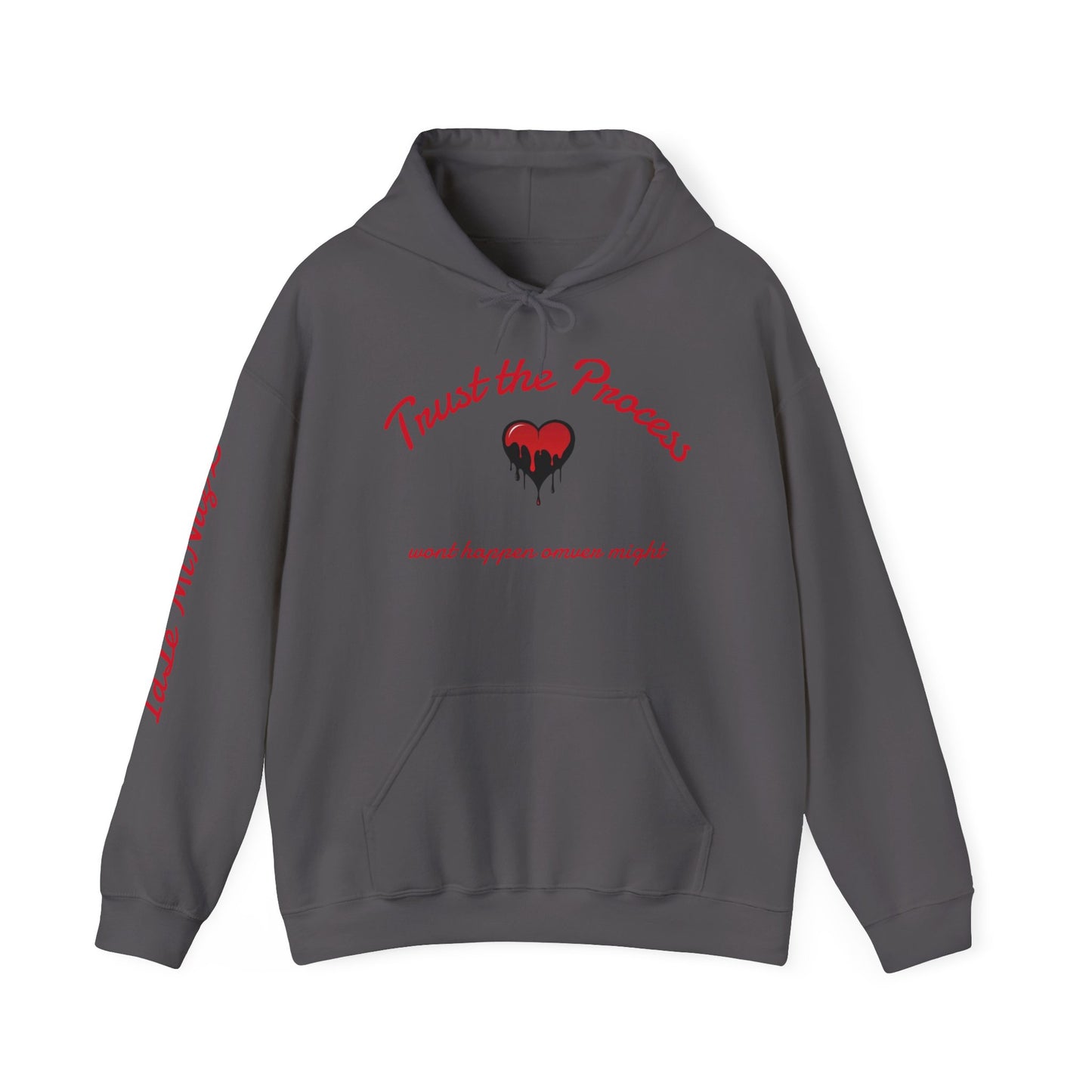 Trust the Process Hooded Sweatshirt, Motivational Hoodie, Unisex Sweatshirt, Casual Wear, Gifts for Him/Her, Inspirational Apparel