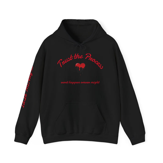 Trust the Process Hooded Sweatshirt, Motivational Hoodie, Unisex Sweatshirt, Casual Wear, Gifts for Him/Her, Inspirational Apparel